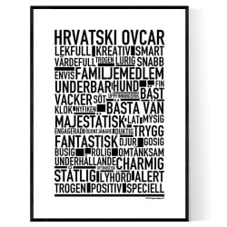 Hrvatski Ovcar Poster