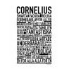 Cornelius Efternamn Poster 