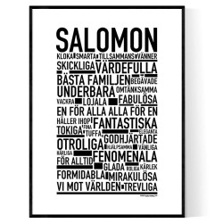 Salomon Poster 