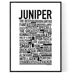 Juniper Poster