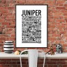 Juniper Poster