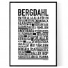 Bergdahl Poster 