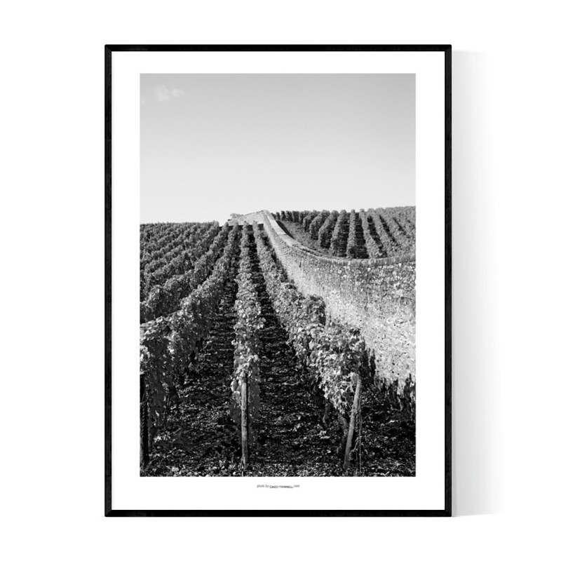 Bourgogne Wineyard Poster