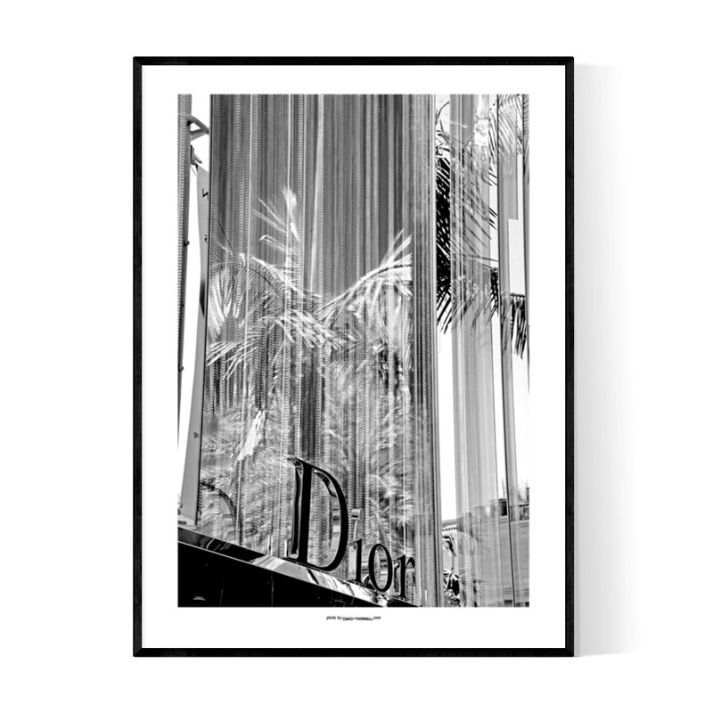 Beverly Dior Poster