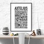 Axtelius Poster
