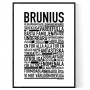 Brunius Poster
