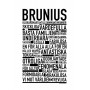 Brunius Poster