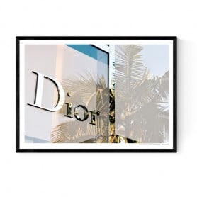 Dior Rodeo Drive