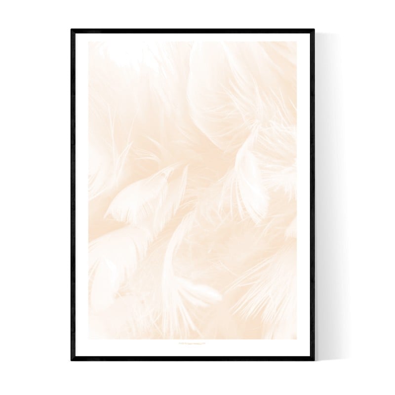 Abstract Peach Feather