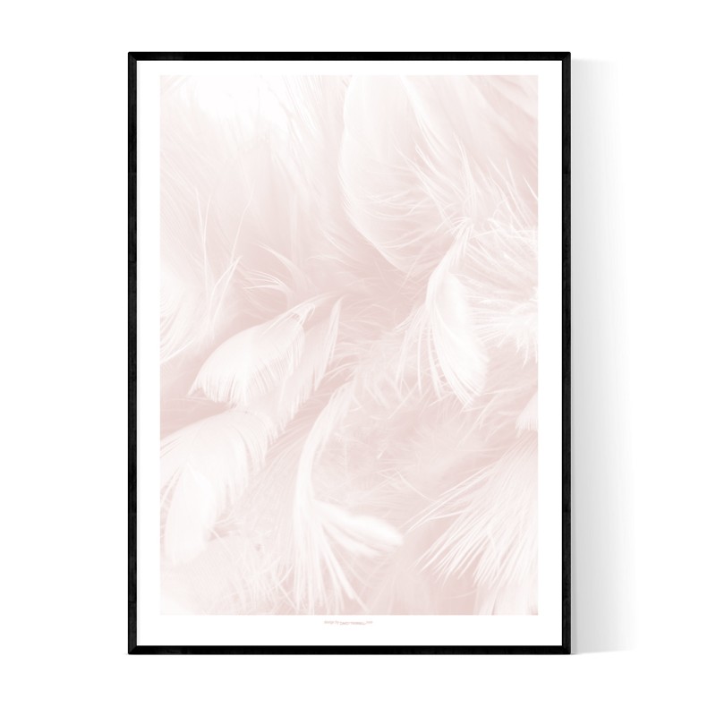 Abstract Pink Feathers