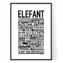 Elefant Poster