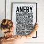 Aneby 2021 Poster