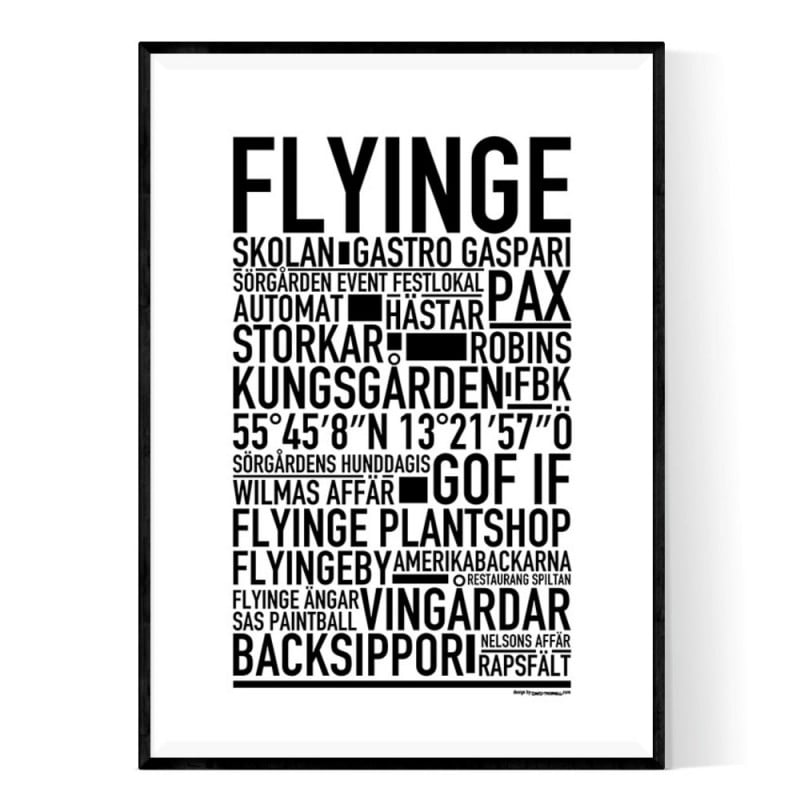 Flyinge Poster