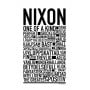 Nixon Poster