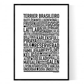 Terrier Brasileiro Poster
