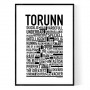 Torunn Poster