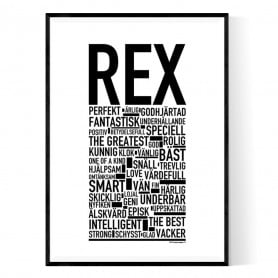 Rex Poster
