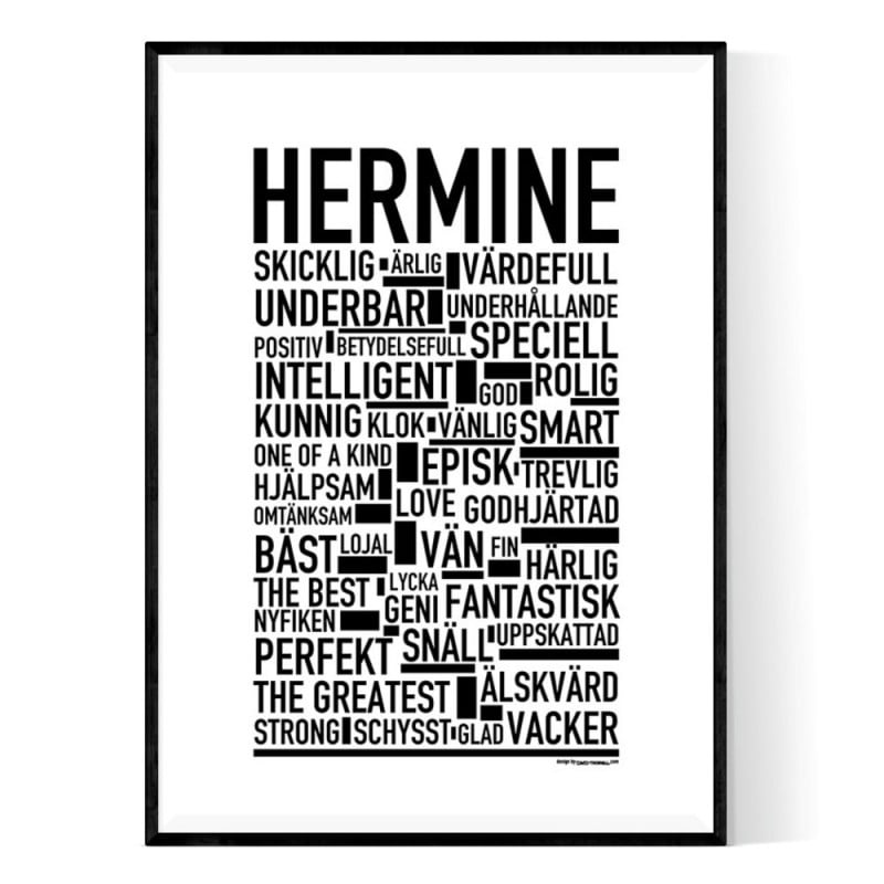 Hermine Poster