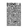 Burmilla Poster