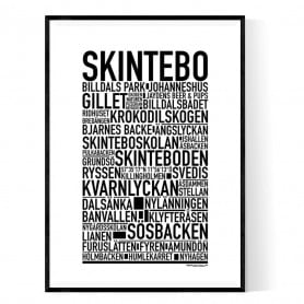 Skintebo Poster