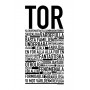 Tor Poster