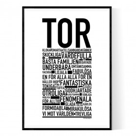 Tor Poster