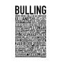 Bulling Poster