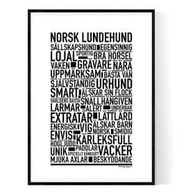 Norsk Lundehund Poster