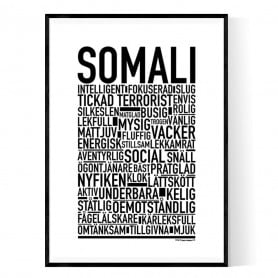 Somali Poster