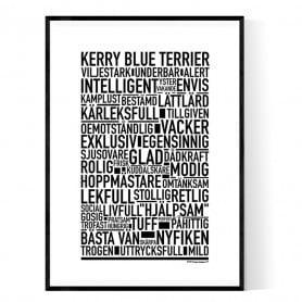 Kerry Blue Terrier Poster
