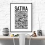 Sativa Poster