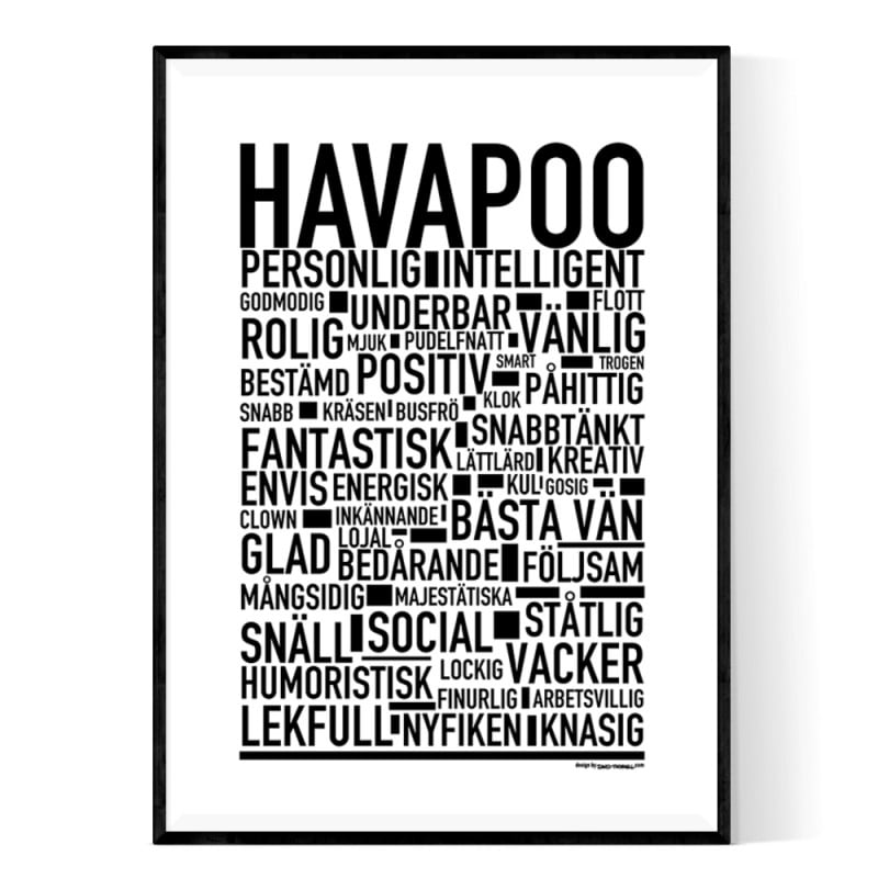 Havapoo Poster