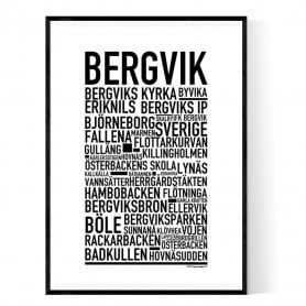 Bergvik Poster
