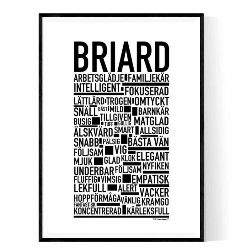 Briard Poster