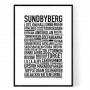 Sundbyberg 2024 Poster