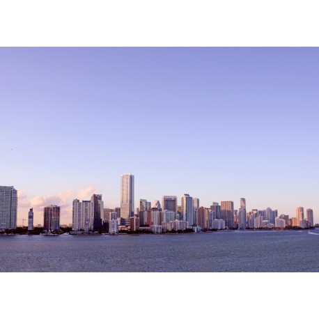 Biscayne Miami Skyline 