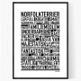 Norfolkterrier Poster