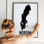 Norum Heart