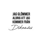 Från Dikanäs