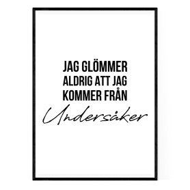 Från Undersåker