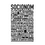 Socionom Poster