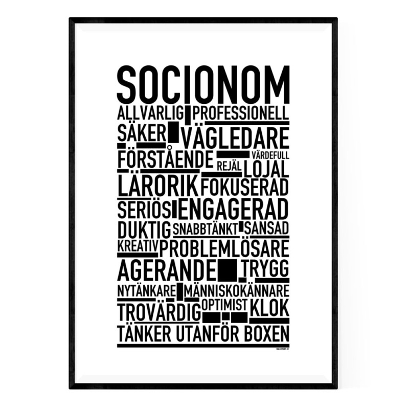 Socionom Poster