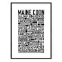 Main Coon Poster