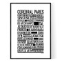 Cerebral Pares poster