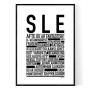 SLE Poster