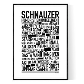 Schnauzer Poster