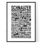 Schnauzer Poster