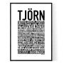 Tjörn Poster