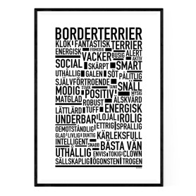 Borderterrier Poster