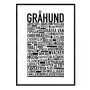 Gråhund Poster